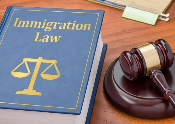 immigration lawyer